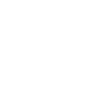 Historic icon