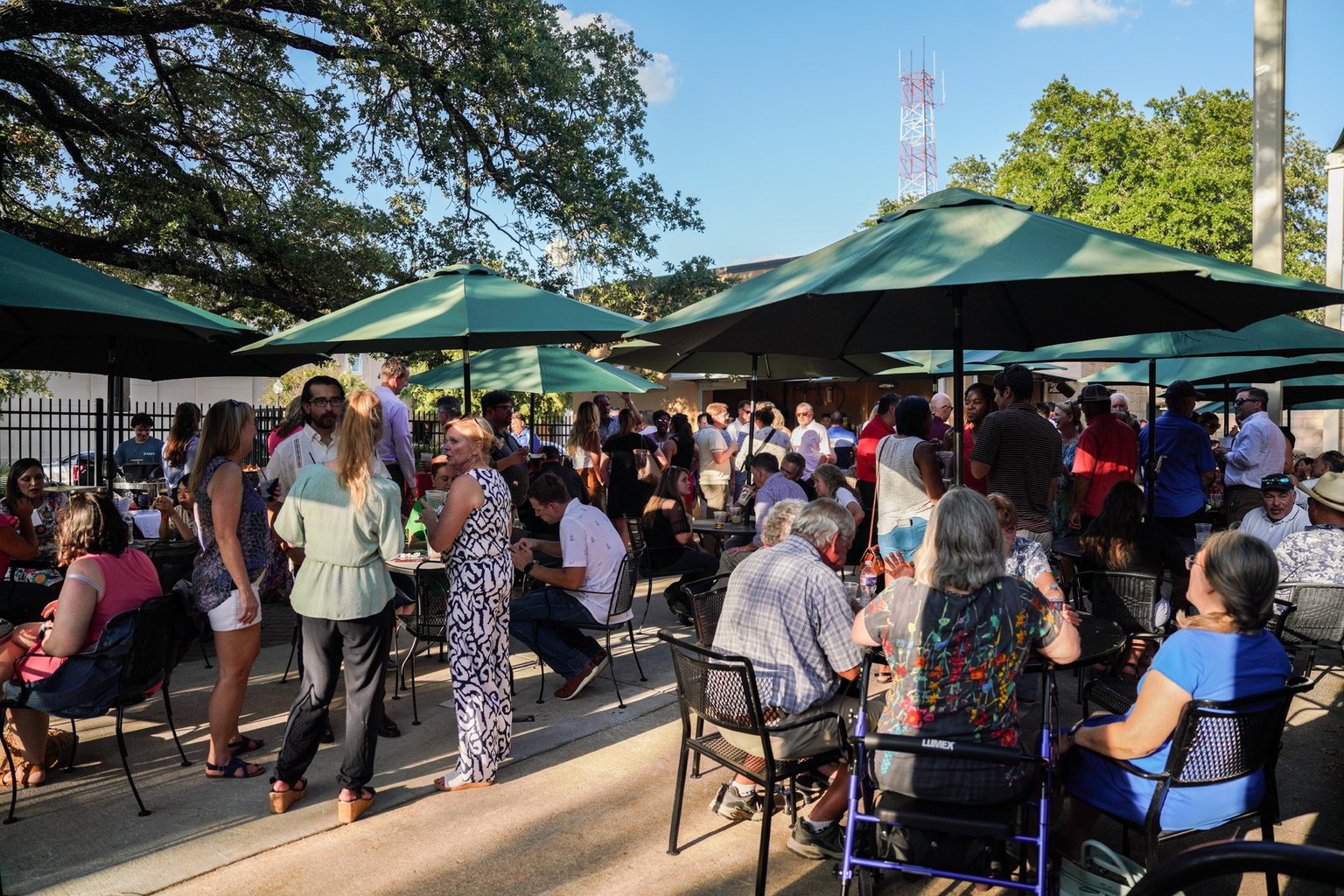 Crowd under umbrellas