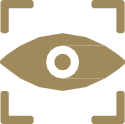 visibility icon
