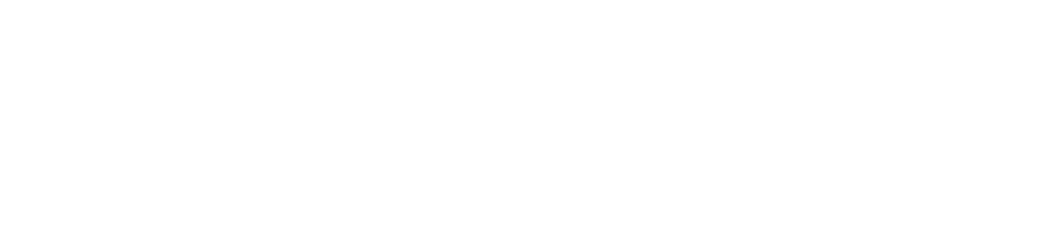 Sports logo
