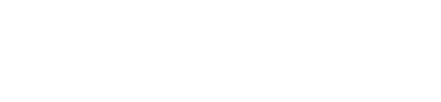 vip logo
