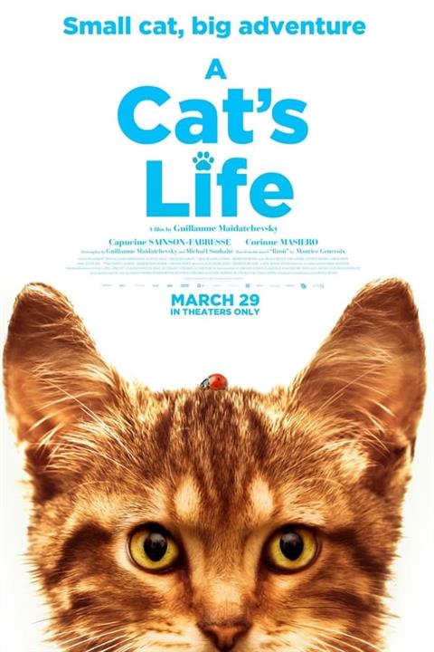 A CATS LIFE poster