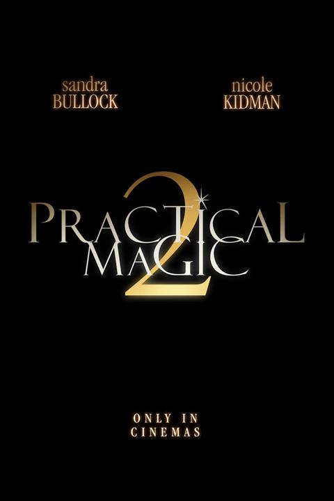 PRACTICAL MAGIC 2 poster