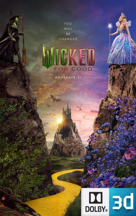 WICKED FOR GOOD 3D poster
