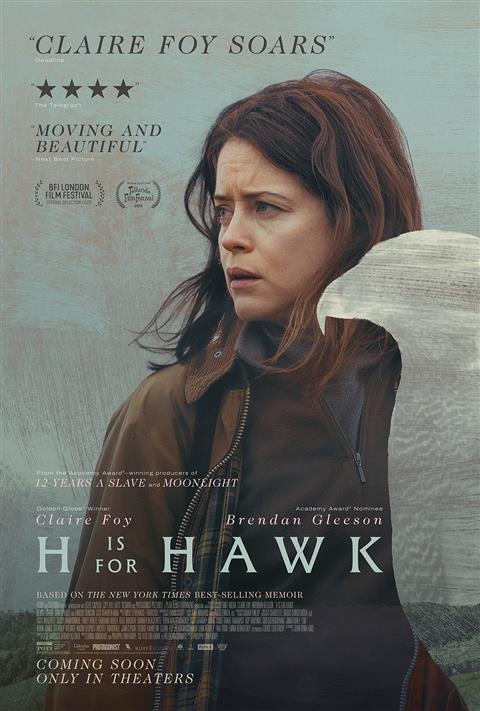 H is for Hawk image