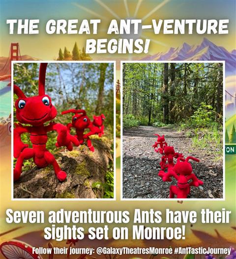 Ant Tastic image