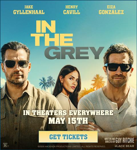 IN THE GREY image
