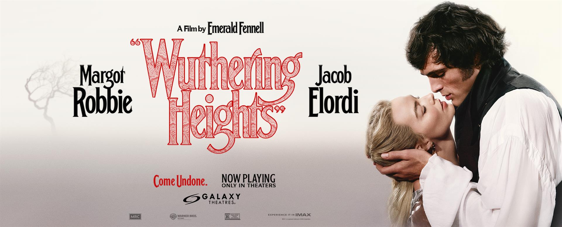 WUTHERING HEIGHTS NP image