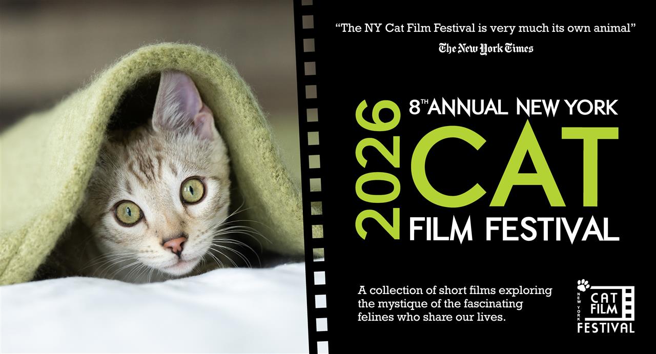 NY Cat Film Festival 2026 
