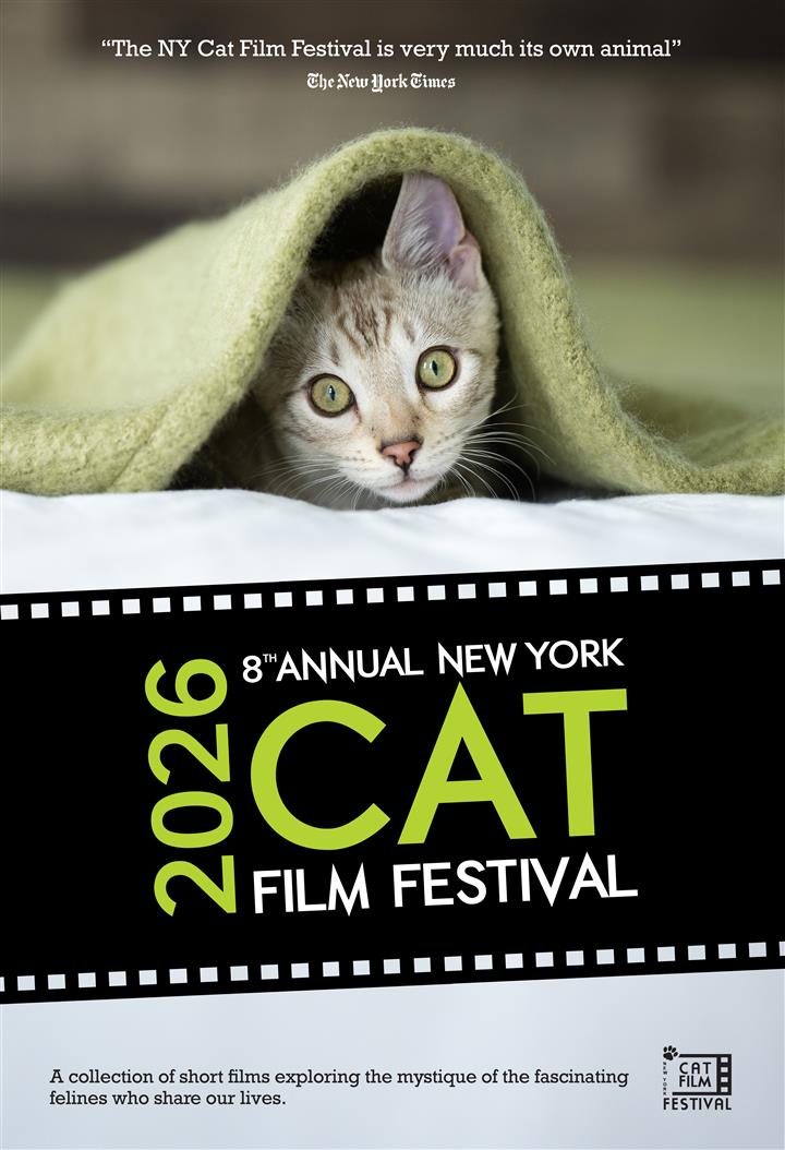 NY Cat Film Festival 2026 Movie Poster