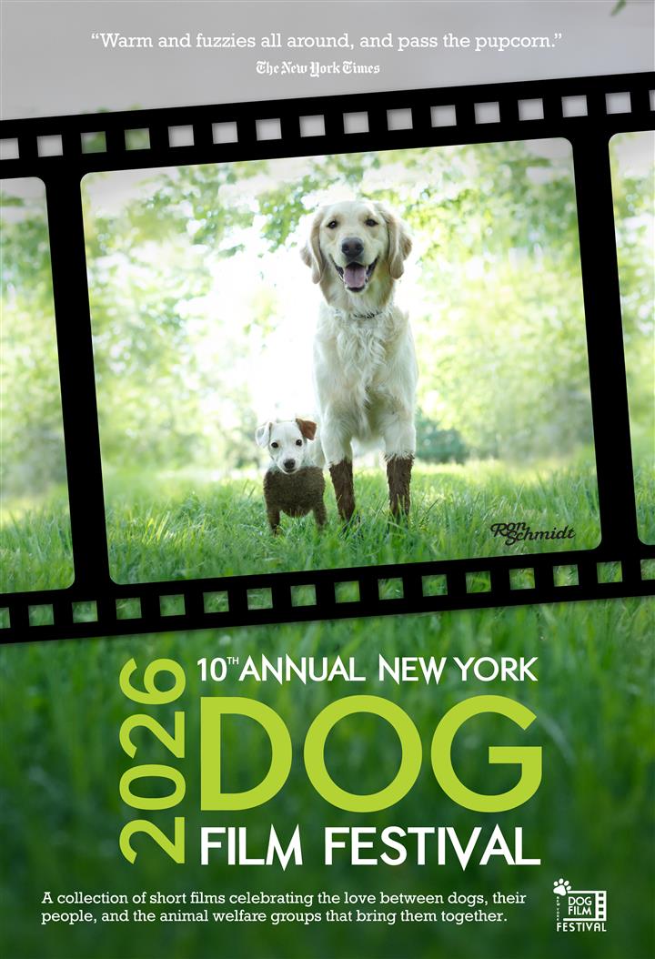 NY Dog Film Festival 2026 Movie Poster