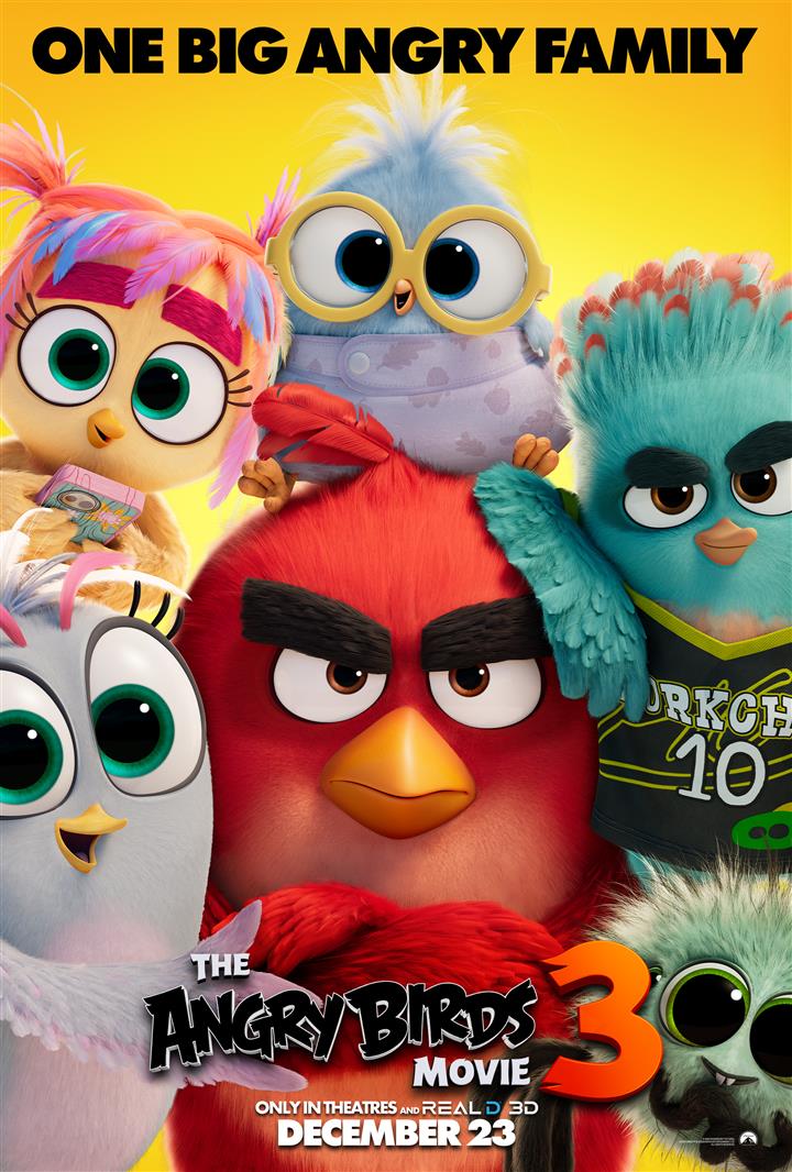 THE ANGRY BIRDS MOVIE 3 Movie Poster