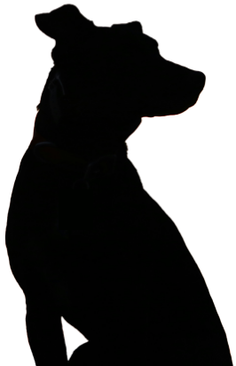 Dog silhouette
