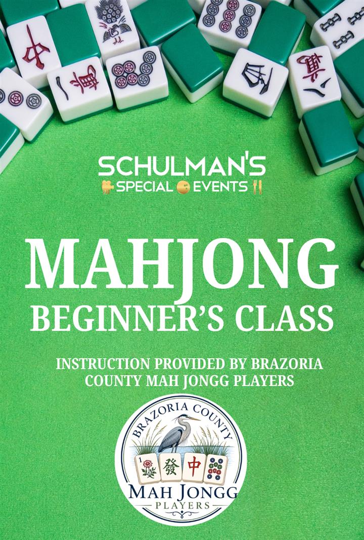 MAHJONG BEGINNERS CLASS Movie Poster