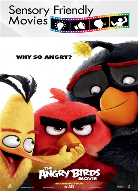 The Angry Birds (Sensory Friendly)(Fall Fest) poster