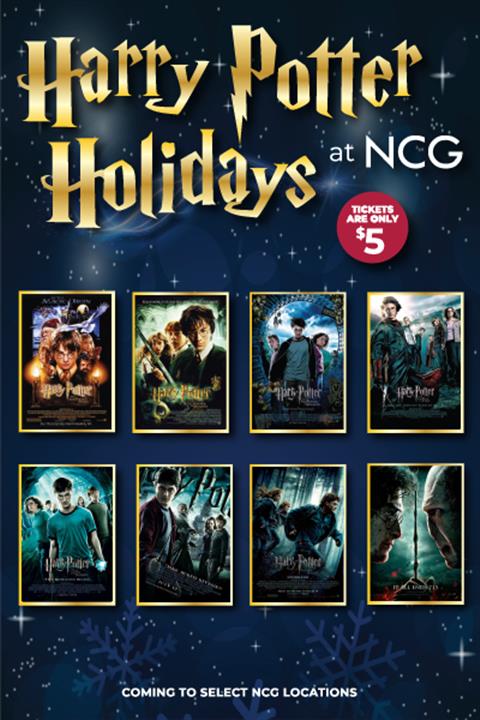 Harry Potter Holidays  image