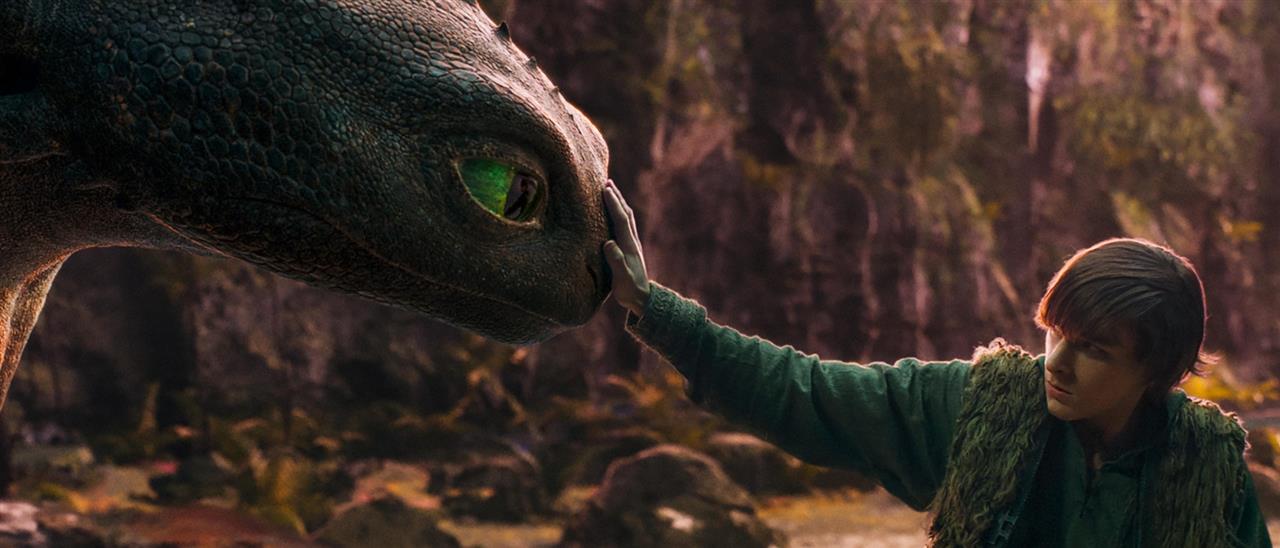 How to Train Your Dragon image