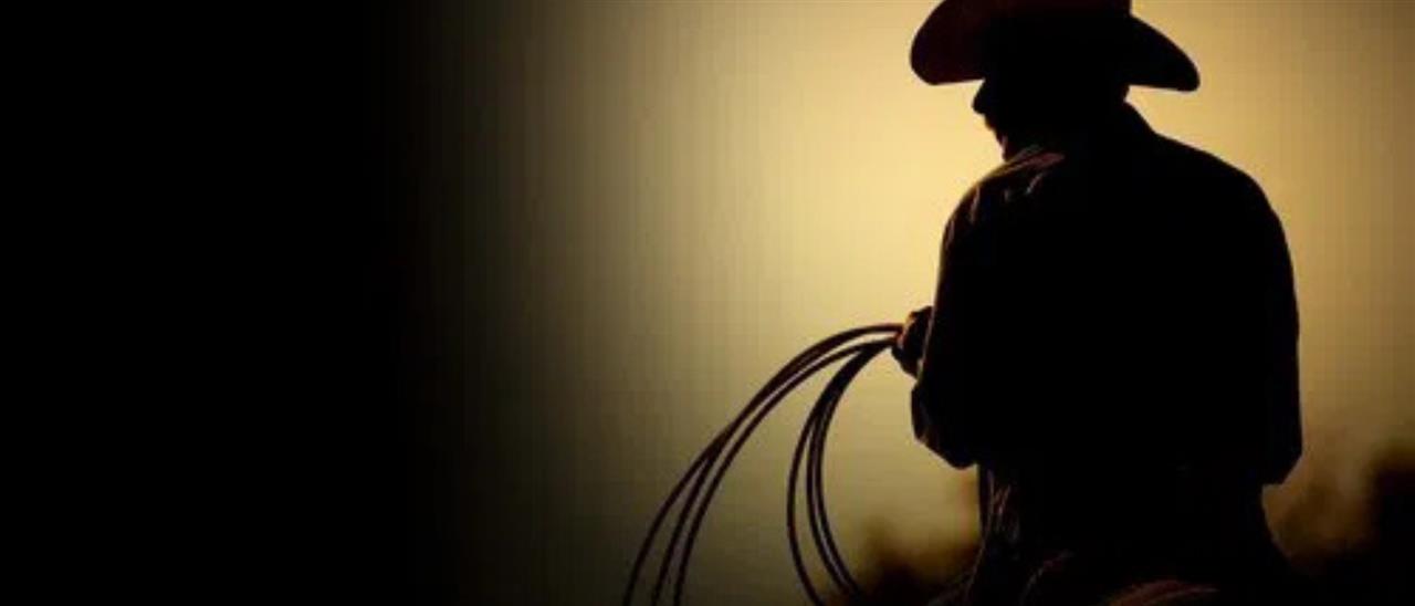 The Last Rodeo image