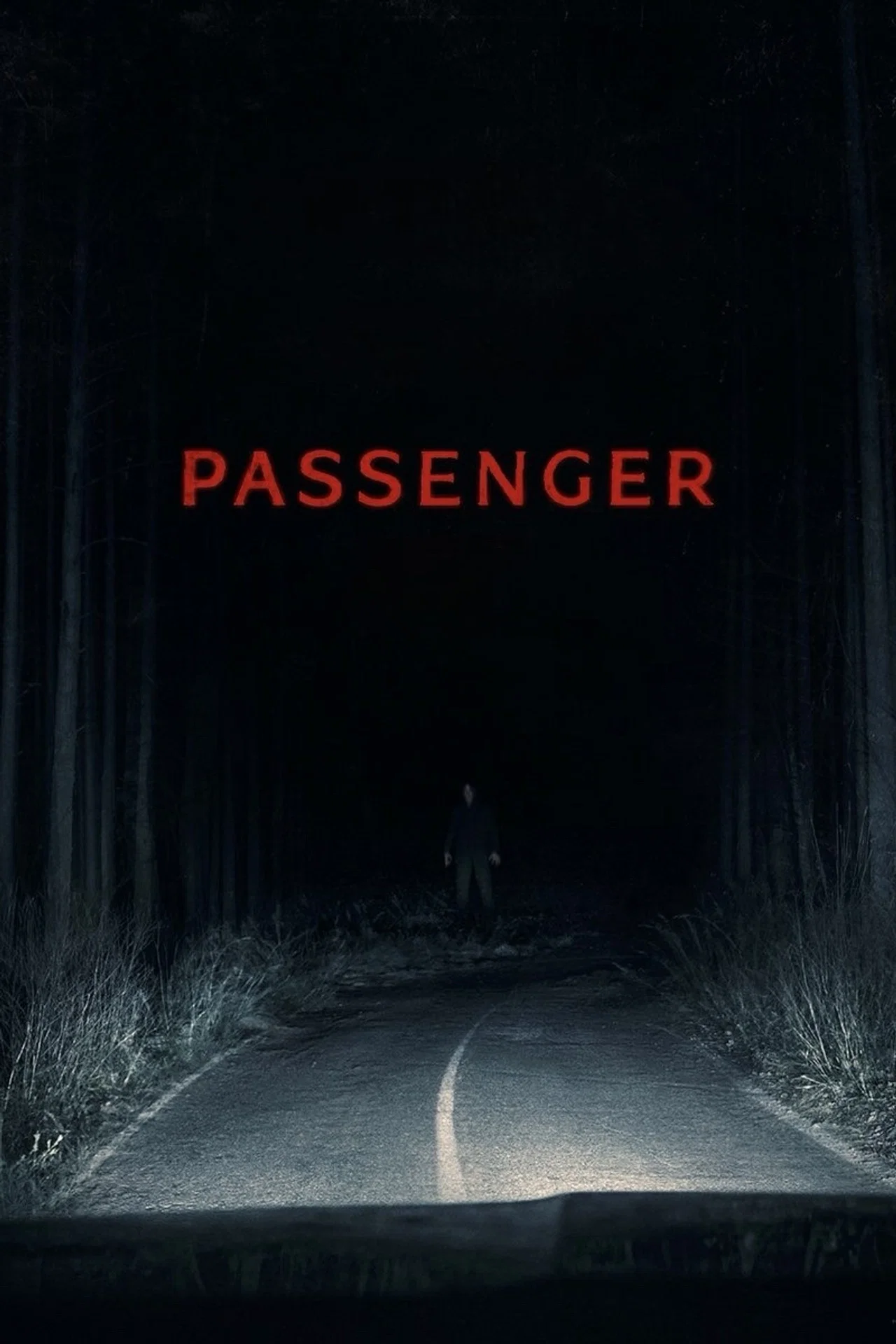 Passenger Movie Poster