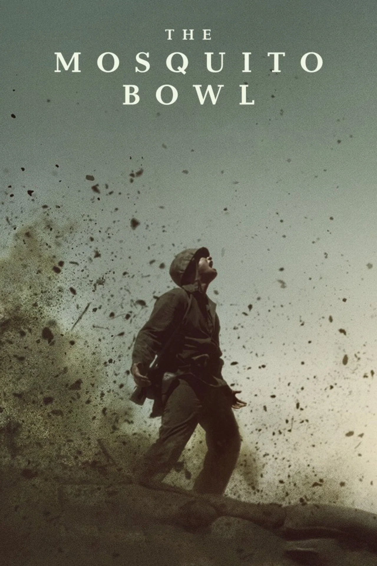The Mosquito Bowl Movie Poster