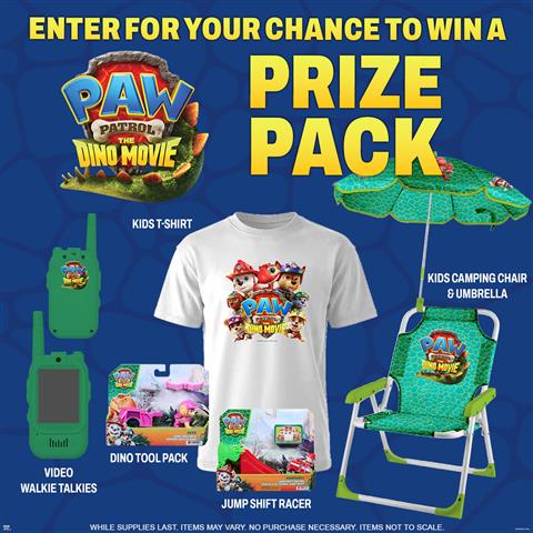 Paw Patrol Week 3-4 image
