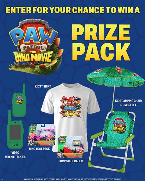 Paw Patrol Prize Pack 2 image