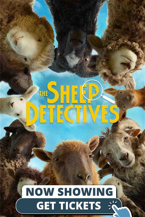 SheepNow image