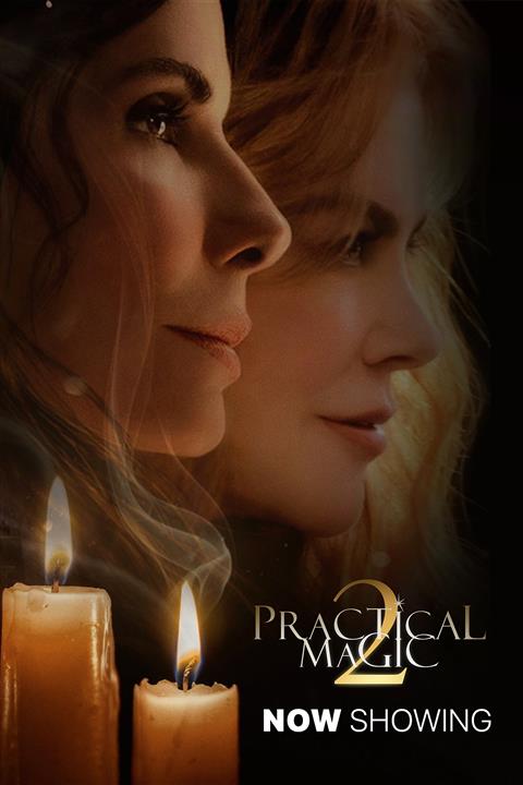 Practical Magic 2 image