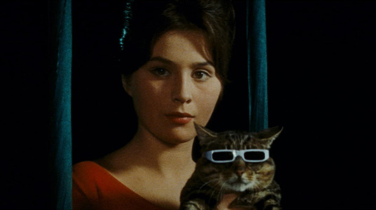 Cat Fancy: THE CASSANDRA CAT Movie Poster