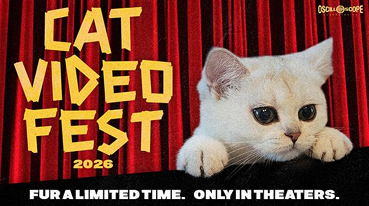 Cat Video Fest 2026 Movie Poster