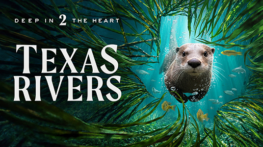 DEEP IN THE HEART 2: TEXAS RIVERS Movie Poster