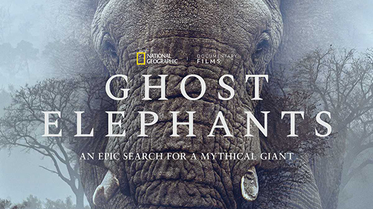 GHOST ELEPHANTS Movie Poster