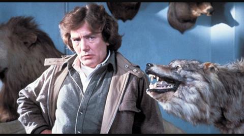 Graveyard Shift: WOLFEN poster
