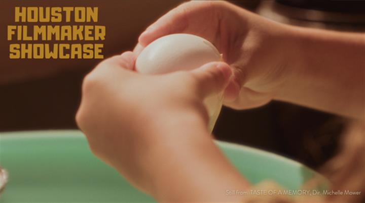 Houston Filmmaker Showcase - April 2026 Movie Poster