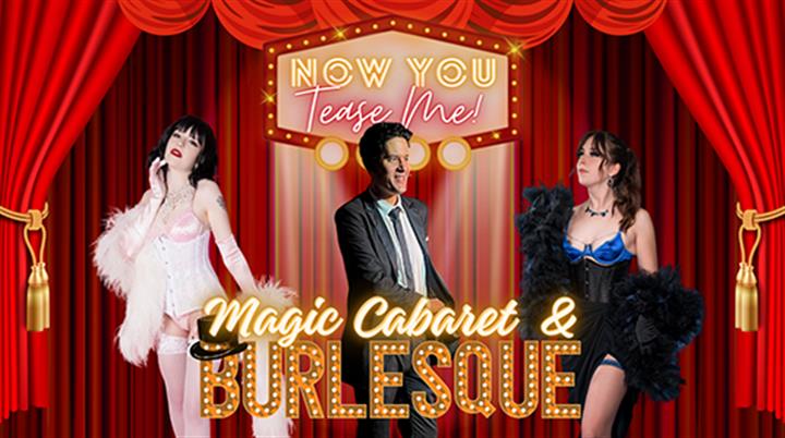 Now You Tease Me: Houston's Finest Magic Cabaret & Burlesque Movie Poster