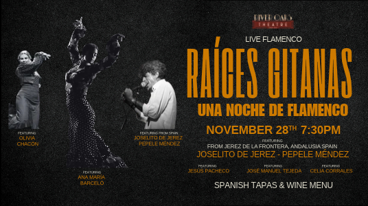RAÍCES GITANAS – UNA NOCHE DE FLAMENCO Movie Poster