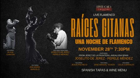 RAÍCES GITANAS – UNA NOCHE DE FLAMENCO poster