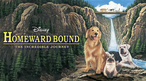 Road Tripping: HOMEWARD BOUND: THE INCREDIBLE JOURNEY  poster