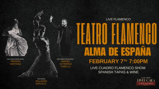 TEATRO FLAMENCO - ALMA DE ESPANA Movie Poster