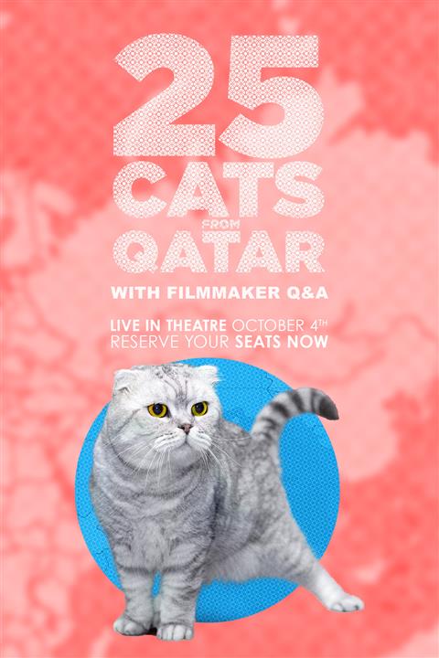 25 Cats from Qatar image