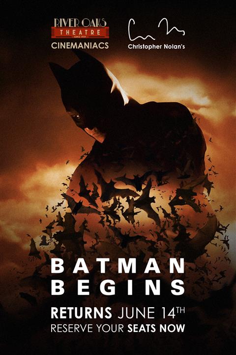 Batman Begins image