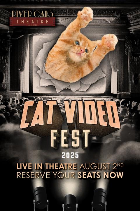 CatVideoFest image