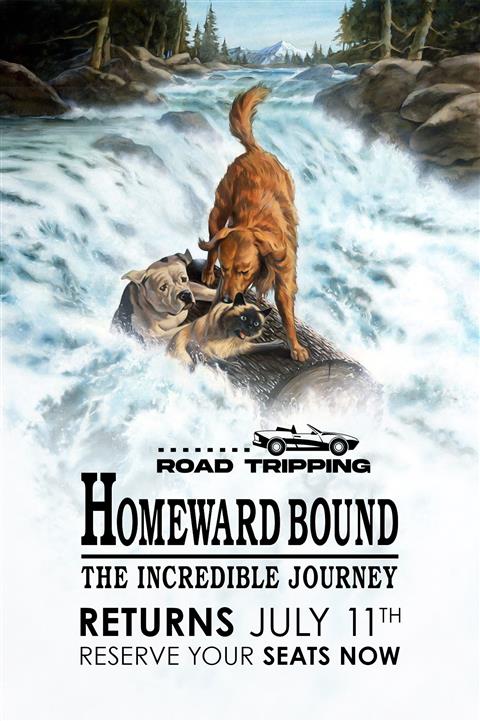 Homeward Bound image