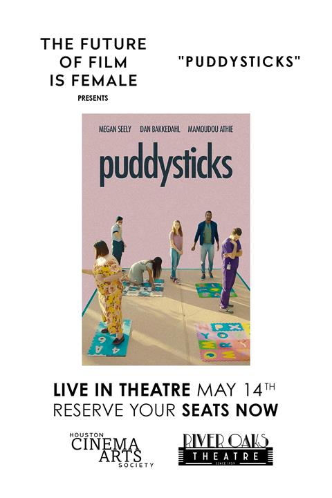 Puddysticks image