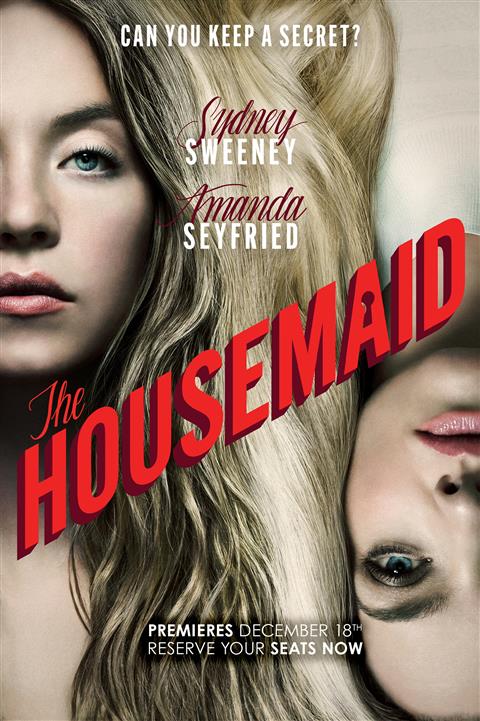 The Housemaid image