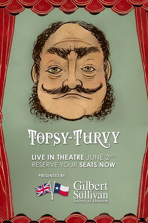 Topsy Turvy image