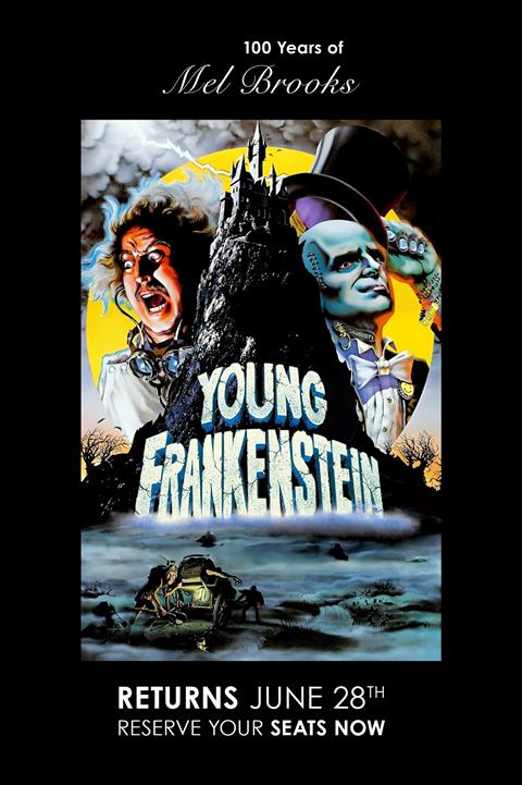 Young Frankenstein image
