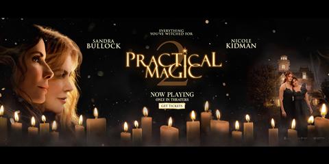 Practical Magic 2 image