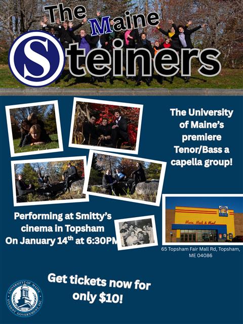 The Maine Steiners image