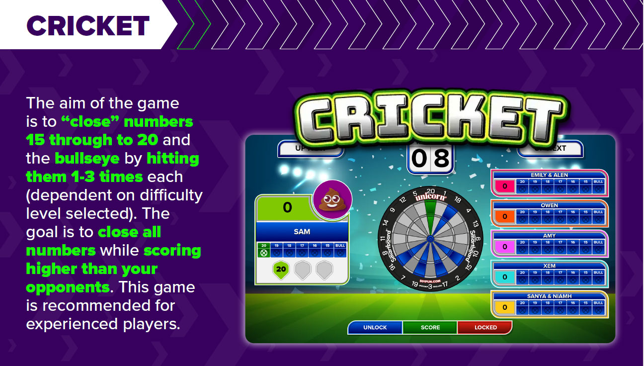 Cricket game